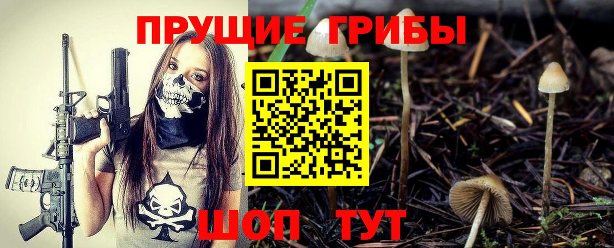 Псилоцибиновые грибы Psilocybine cubensis Буйнакск