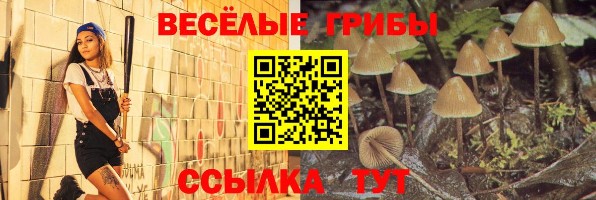Буйнакск  Псилоцибиновые грибы Magic Shrooms  Вход с VPN 